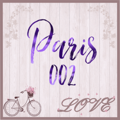 Paris 002
