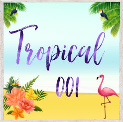 TROPICAL 001