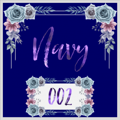 Navy 002