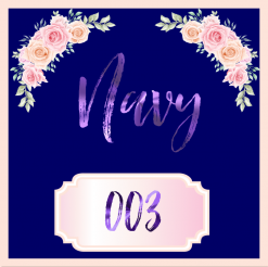 Navy 003